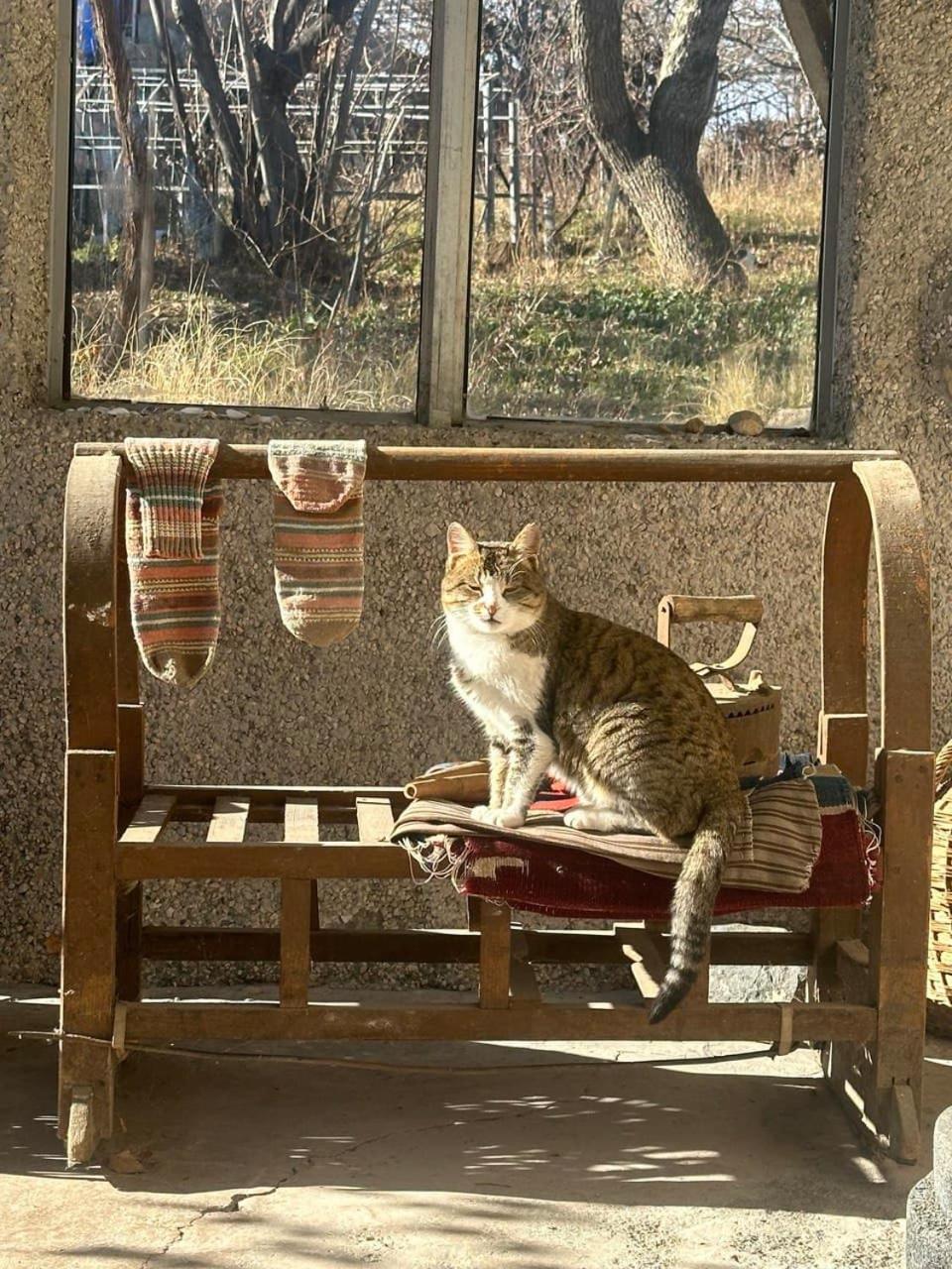 B&B Ruzan Yeghegnadzor Dış mekan fotoğraf