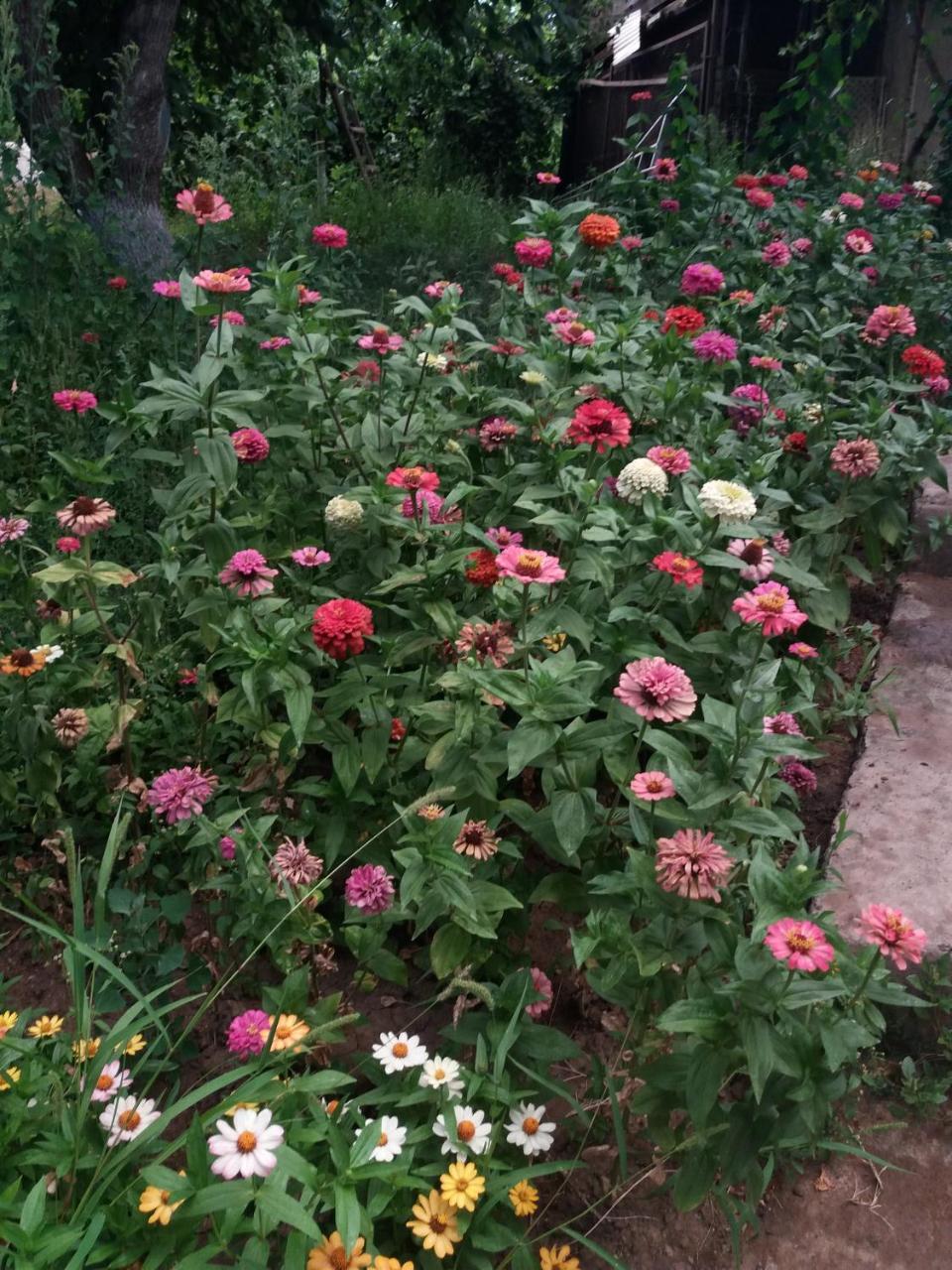 B&B Ruzan Yeghegnadzor Dış mekan fotoğraf